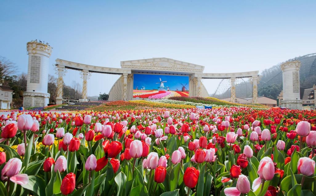 한국 축제