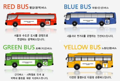 버스 교통망