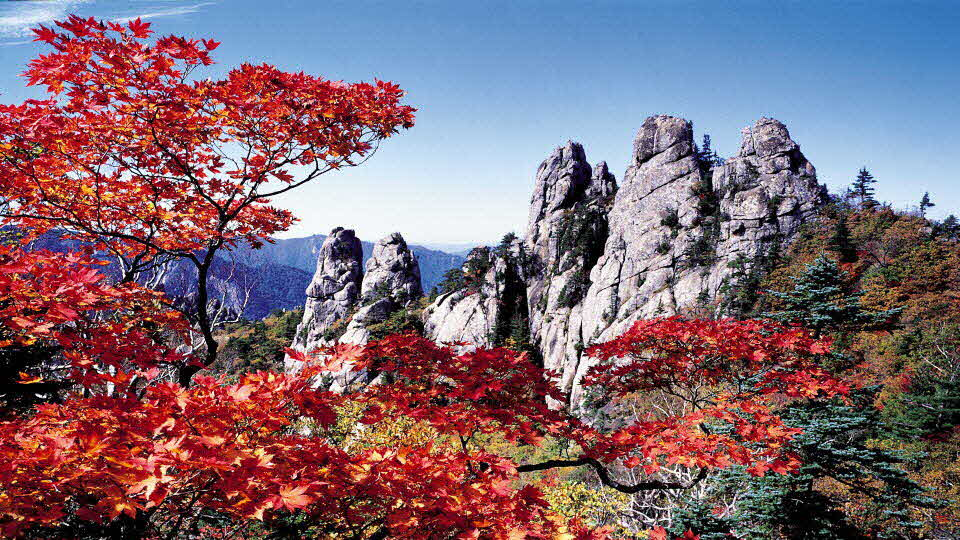 설악산 단풍